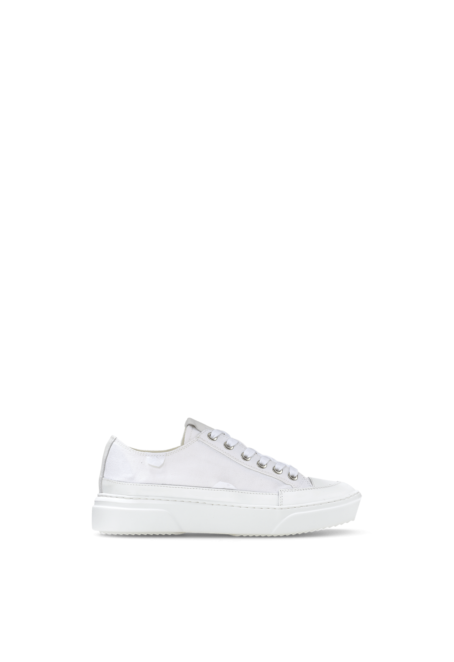 Canvas Lex Low