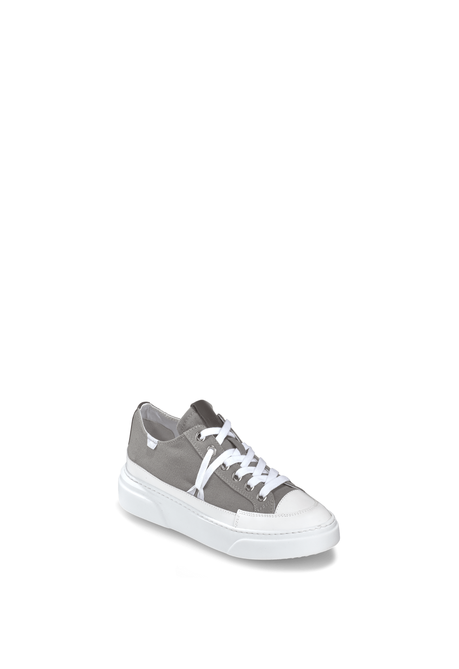 Canvas Lex Low